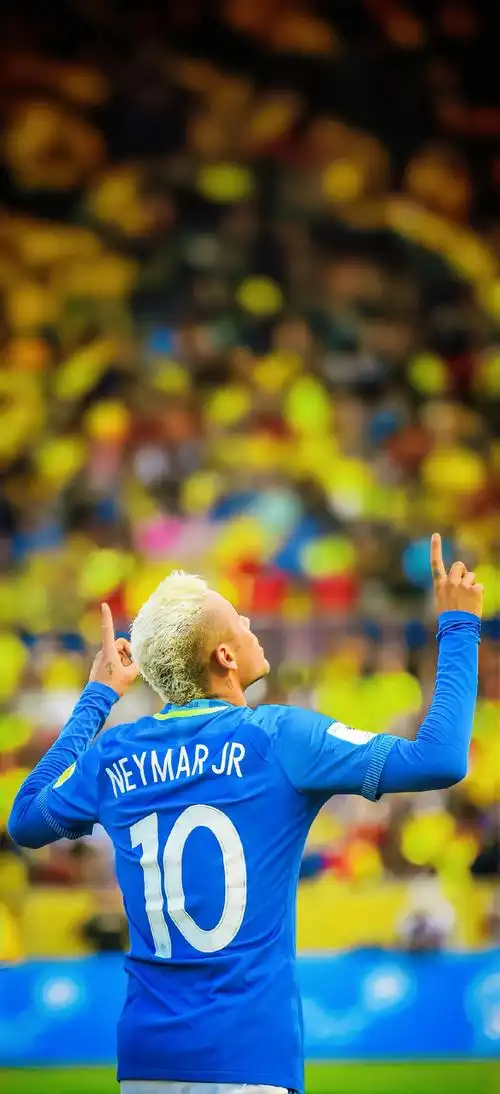 南的足球文 南的足球文